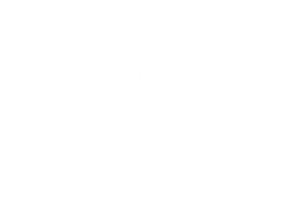 wildanet-bird-icon_whiteout